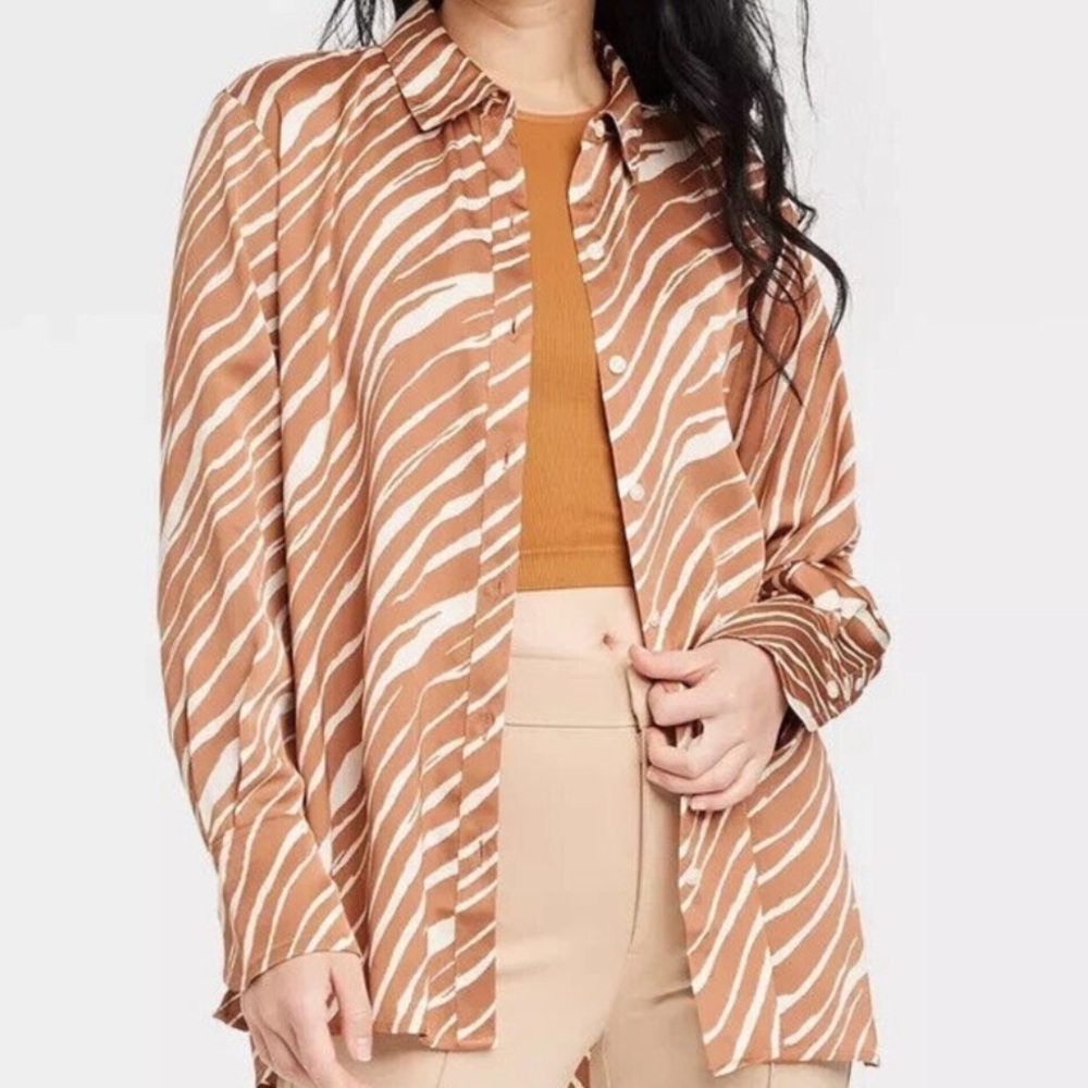 Brown and White Striped Button Down Shirt